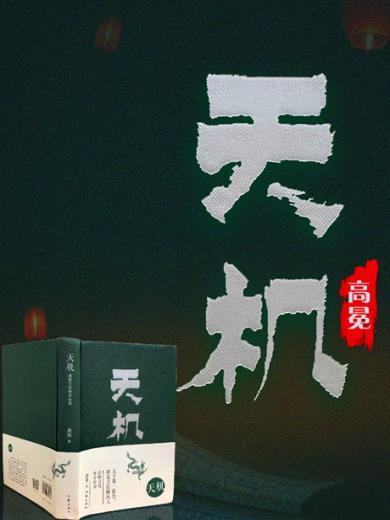 天机：清朝皇权争夺实录